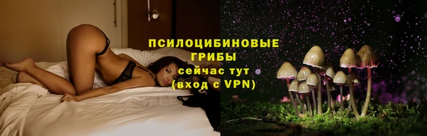 ГАЛЛЮЦИНОГЕННЫЕ ГРИБЫ Беломорск