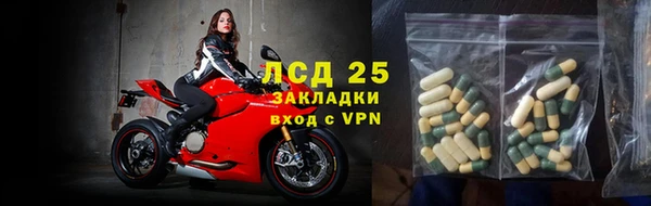 ГАЛЛЮЦИНОГЕННЫЕ ГРИБЫ Беломорск